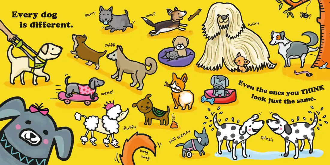 Every One Is Special: Dogs US - Board book