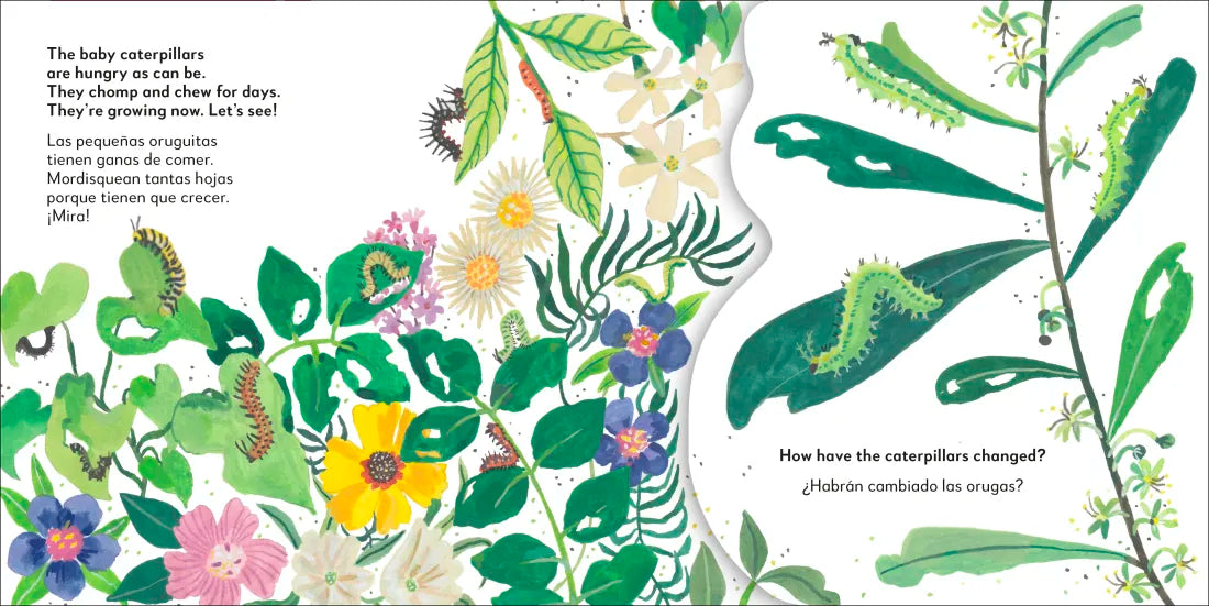Bilingual Pop-Up Peekaboo! Butterfly - La mariposa US - Board book