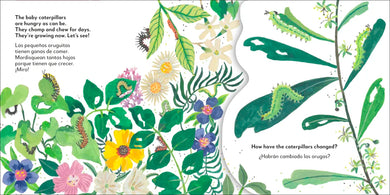 Bilingual Pop-Up Peekaboo! Butterfly - La mariposa US - Board book
