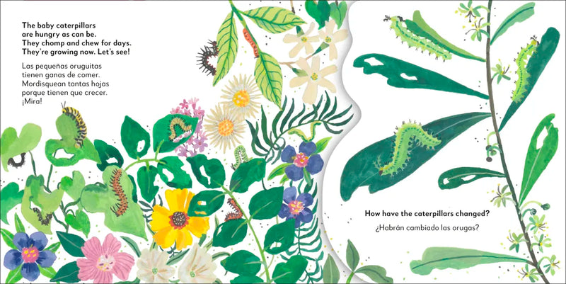 Bilingual Pop-Up Peekaboo! Butterfly - La mariposa US - Board book