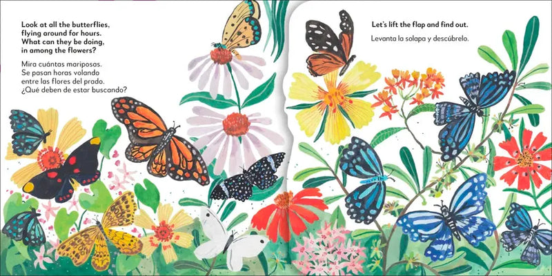 Bilingual Pop-Up Peekaboo! Butterfly - La mariposa US - Board book