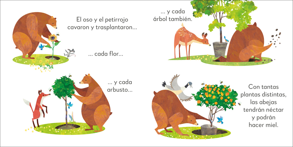 El oso generoso (Jonny Lambert's Bear and Bird) interior 3 (ISBN 9780744079166)