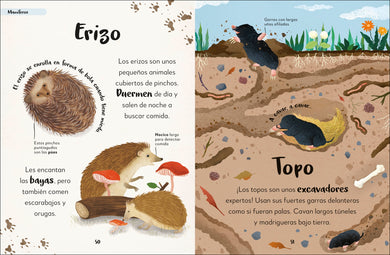 Mi primer libro de animales (The Bedtime Book of Animals) interior 1 (ISBN 9780744079180)