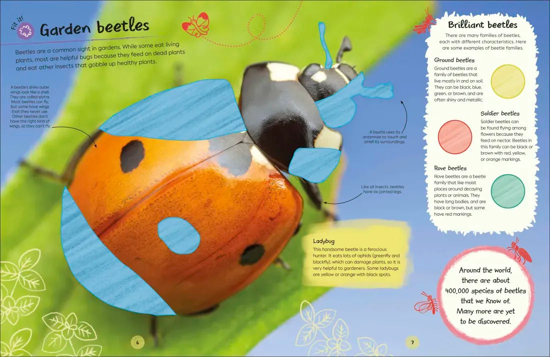 Ultimate Sticker Book Garden Bugs US - Paperback / softback