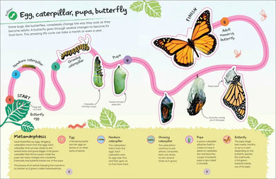 Ultimate Sticker Book Garden Bugs US - Paperback / softback