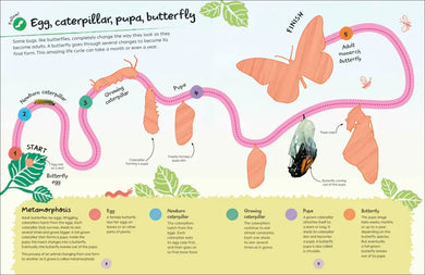 Ultimate Sticker Book Garden Bugs US - Paperback / softback