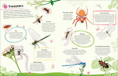 Ultimate Sticker Book Garden Bugs US - Paperback / softback