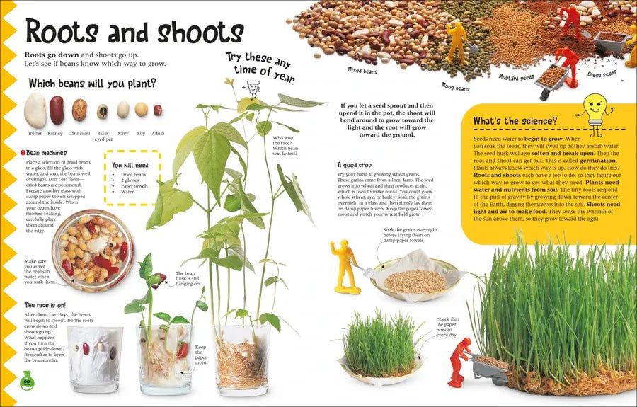 The Simple Science Activity Book US - Hardback