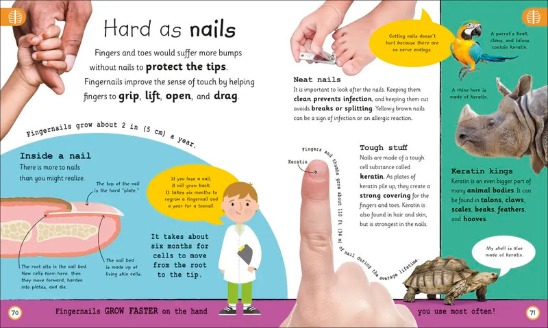 My Very Important Human Body Encyclopedia US - Hardback