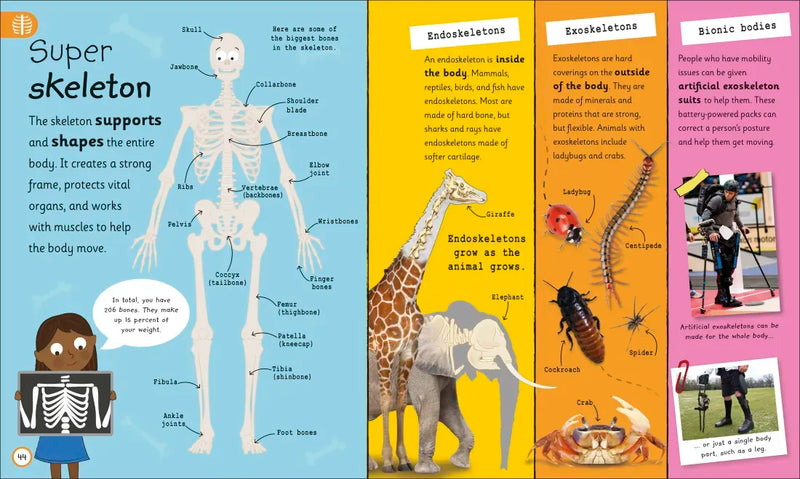 My Very Important Human Body Encyclopedia US - Hardback