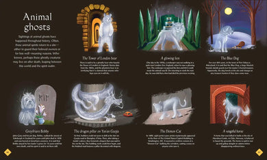 The Book of Mysteries, Magic, and the Unexplained US - Hardback