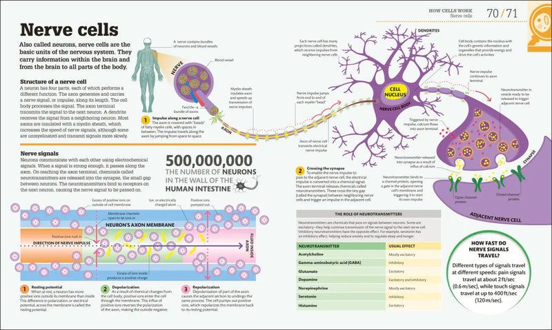 How Biology Works US - Hardback