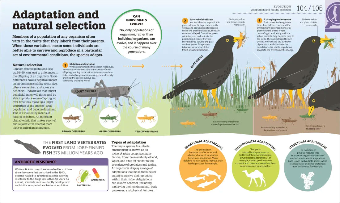 How Biology Works US - Hardback