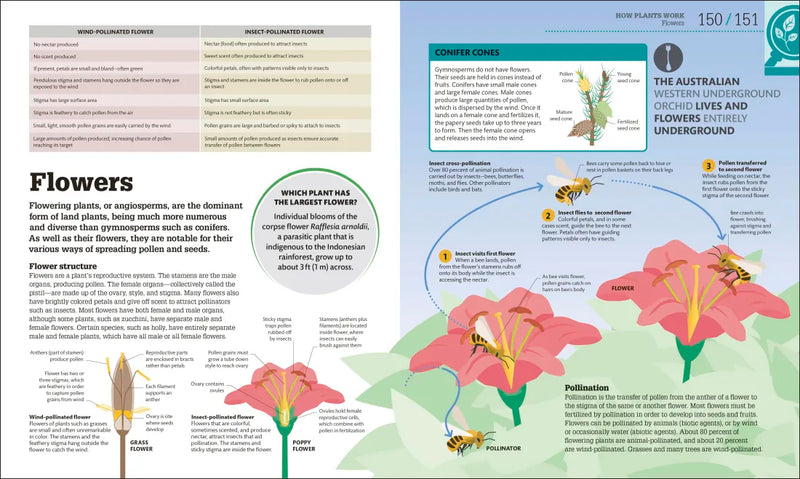 How Biology Works US - Hardback