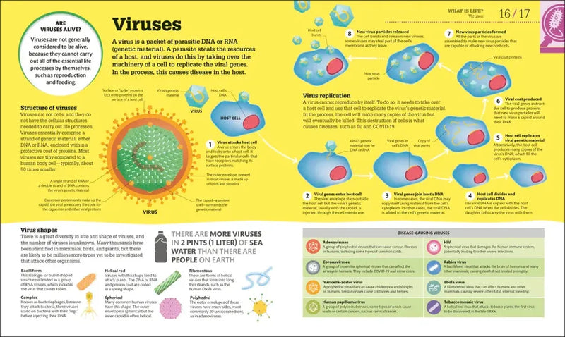 How Biology Works US - Hardback