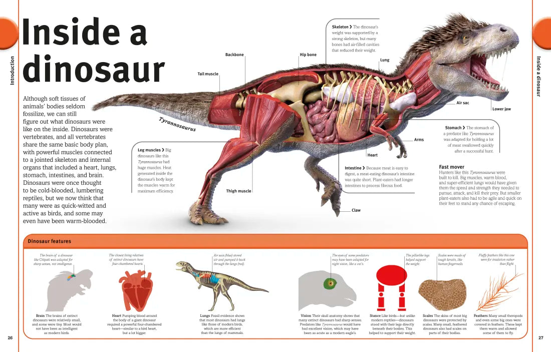 Our World in Pictures The Dinosaur Book US - Hardback
