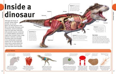 Our World in Pictures The Dinosaur Book US - Hardback
