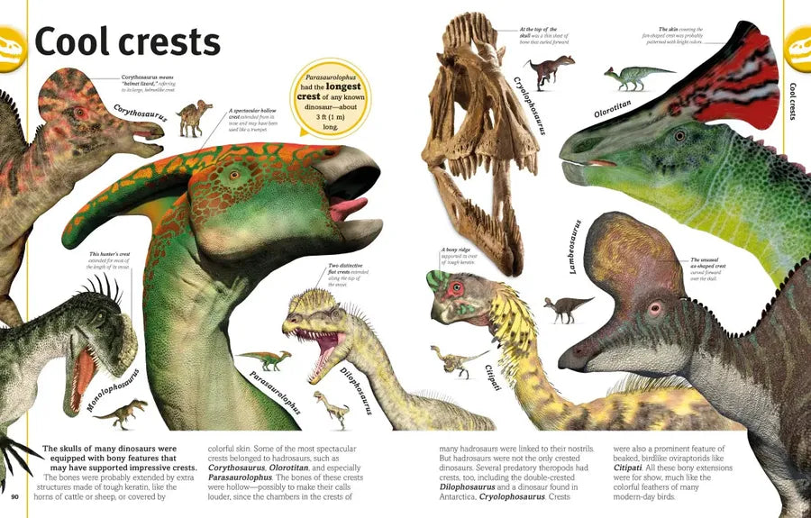 Our World in Pictures The Dinosaur Book US - Hardback