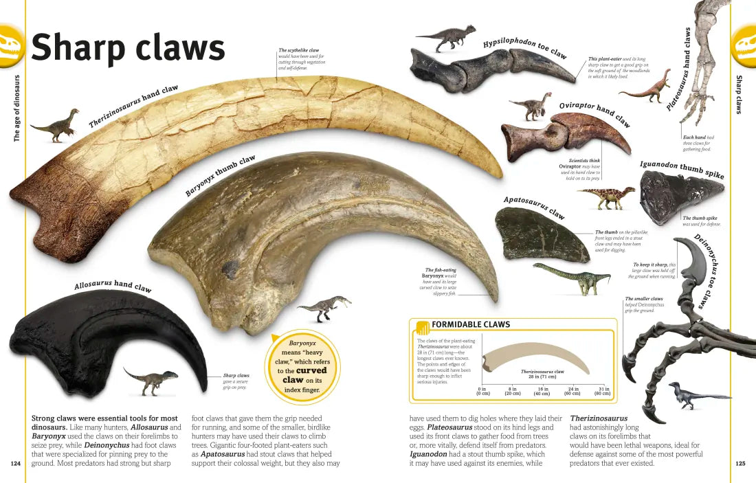 Our World in Pictures The Dinosaur Book US - Hardback