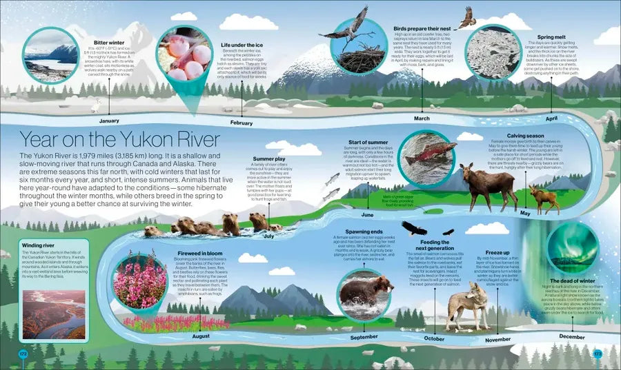 Timelines of Nature US - Hardback