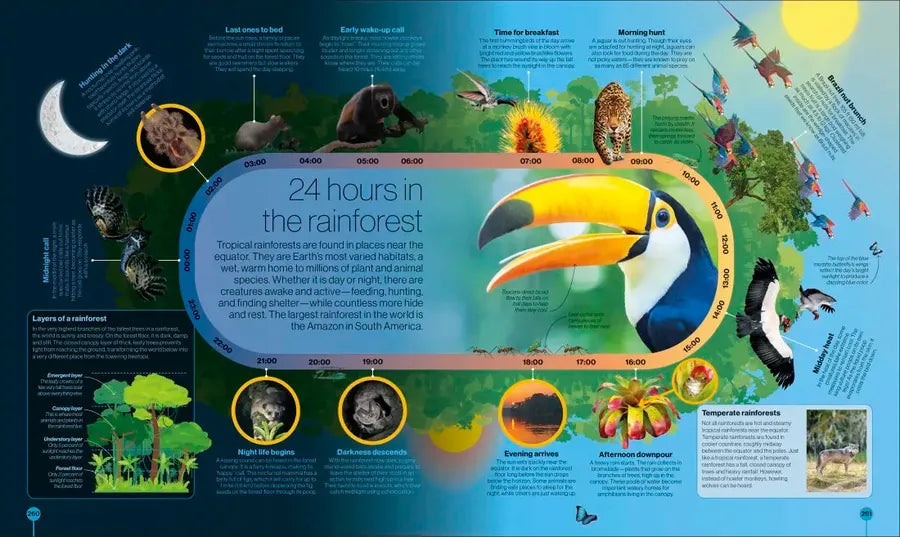 Timelines of Nature US - Hardback