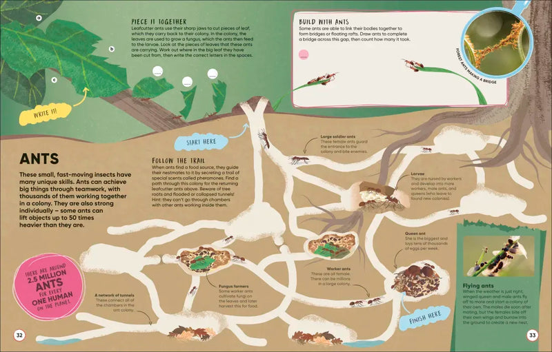 Brain Booster Bugs US - Paperback / softback