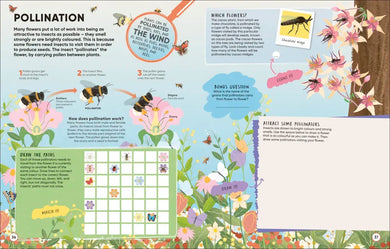 Brain Booster Bugs US - Paperback / softback
