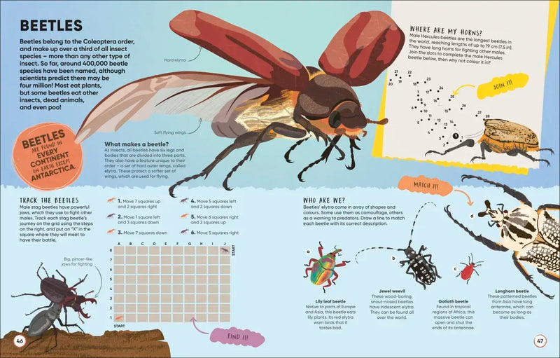 Brain Booster Bugs US - Paperback / softback