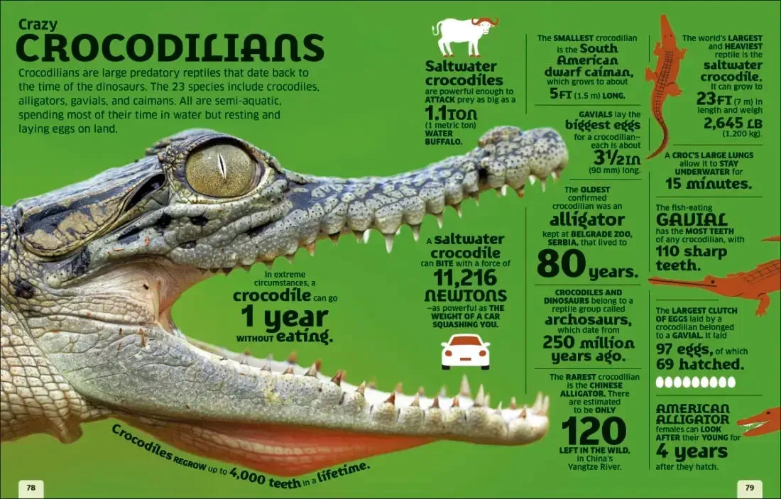 Our World in Numbers Animals US - Hardback
