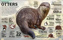 Our World in Numbers Animals US - Hardback