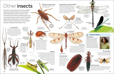 Eyewitness Insect US - Paperback / softback
