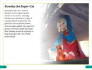 DK Super Readers Level 3 DC Supergirl Girl of Steel US - Hardback
