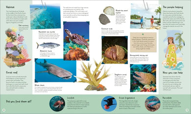 The World's Wildest Waters US - Hardback