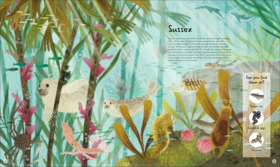 The World's Wildest Waters US - Hardback