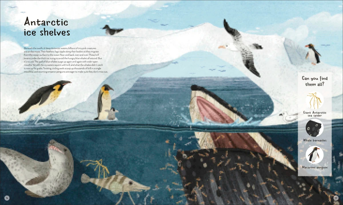 The World's Wildest Waters US - Hardback
