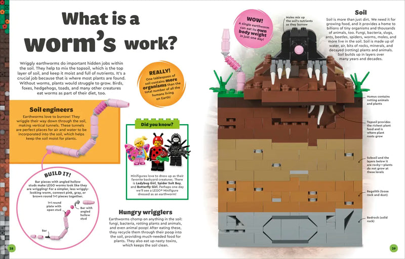 LEGO Amazing Earth US - Hardback