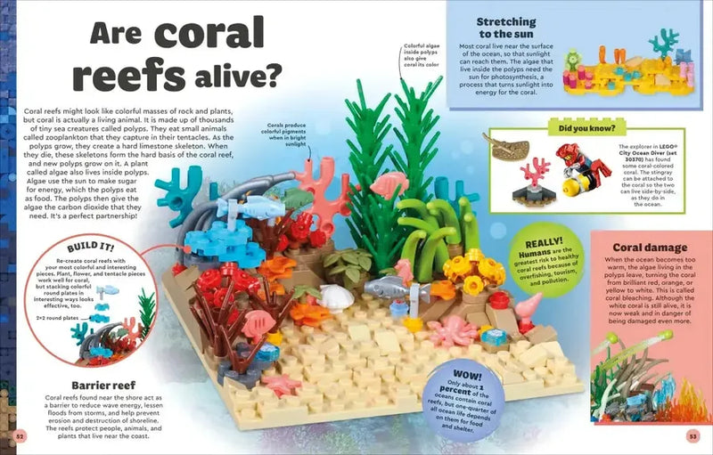 LEGO Amazing Earth US - Hardback