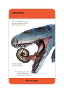 Our World in Pictures Dinosaurs and Other Prehistoric Creatures Flash Cards US - Cards