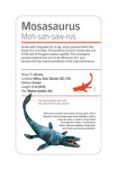 Our World in Pictures Dinosaurs and Other Prehistoric Creatures Flash Cards US - Cards