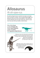 Our World in Pictures Dinosaurs and Other Prehistoric Creatures Flash Cards US - Cards