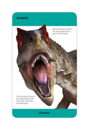 Our World in Pictures Dinosaurs and Other Prehistoric Creatures Flash Cards US - Cards