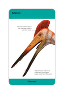 Our World in Pictures Dinosaurs and Other Prehistoric Creatures Flash Cards US - Cards