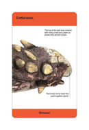 Our World in Pictures Dinosaurs and Other Prehistoric Creatures Flash Cards US - Cards