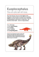 Our World in Pictures Dinosaurs and Other Prehistoric Creatures Flash Cards US - Cards