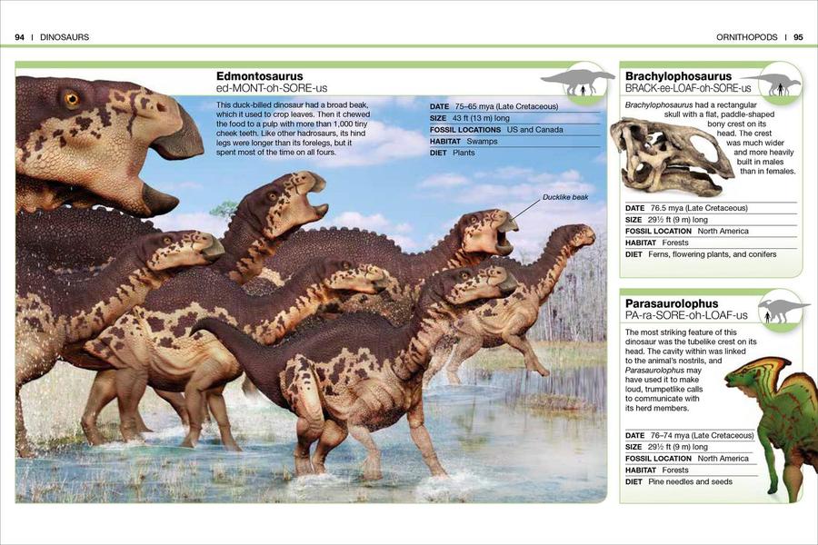 Pocket Genius Nature Collection 4-Book Box Set US - Multiple-component retail product, boxed