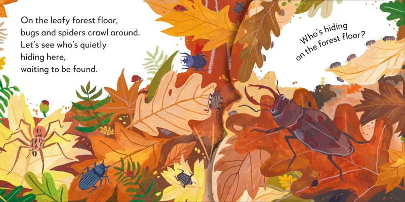 Pop-Up Peekaboo! Forest US - Board book