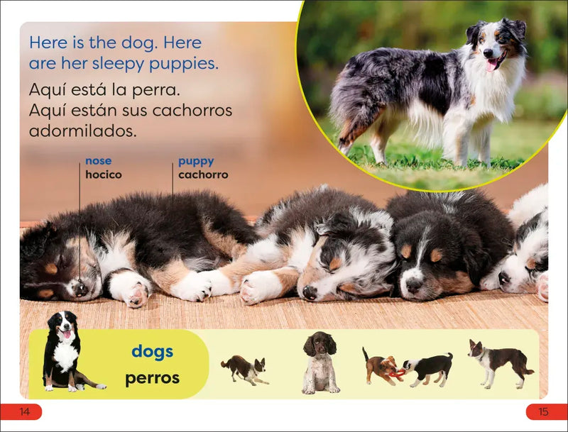 DK Super Readers Pre-Level English-Spanish Bilingual Farm Animals â€“ Los animales de la granja US - Hardback