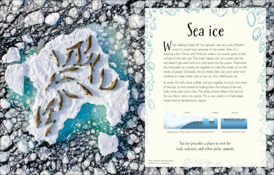 An Anthology of Our Extraordinary Earth US - Hardback