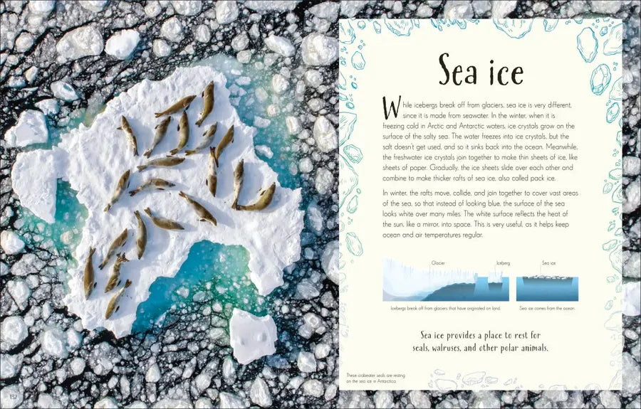 An Anthology of Our Extraordinary Earth US - Hardback