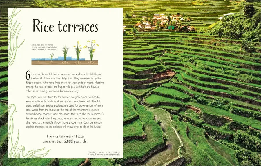 An Anthology of Our Extraordinary Earth US - Hardback